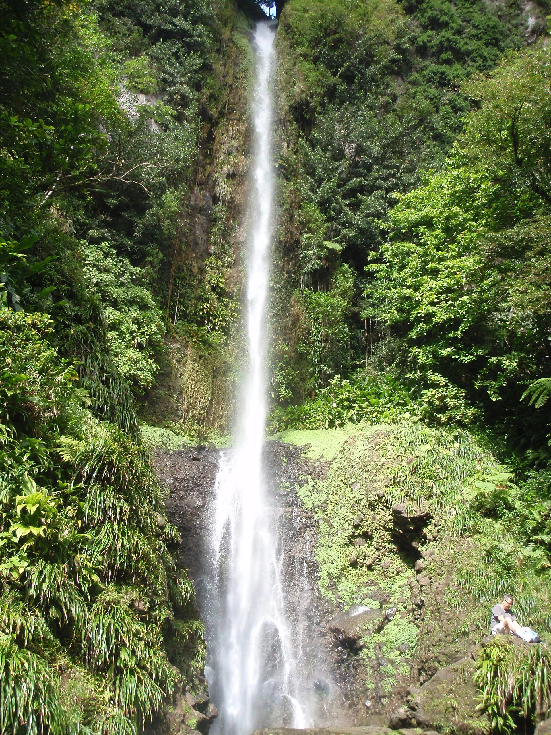 Middleham Falls