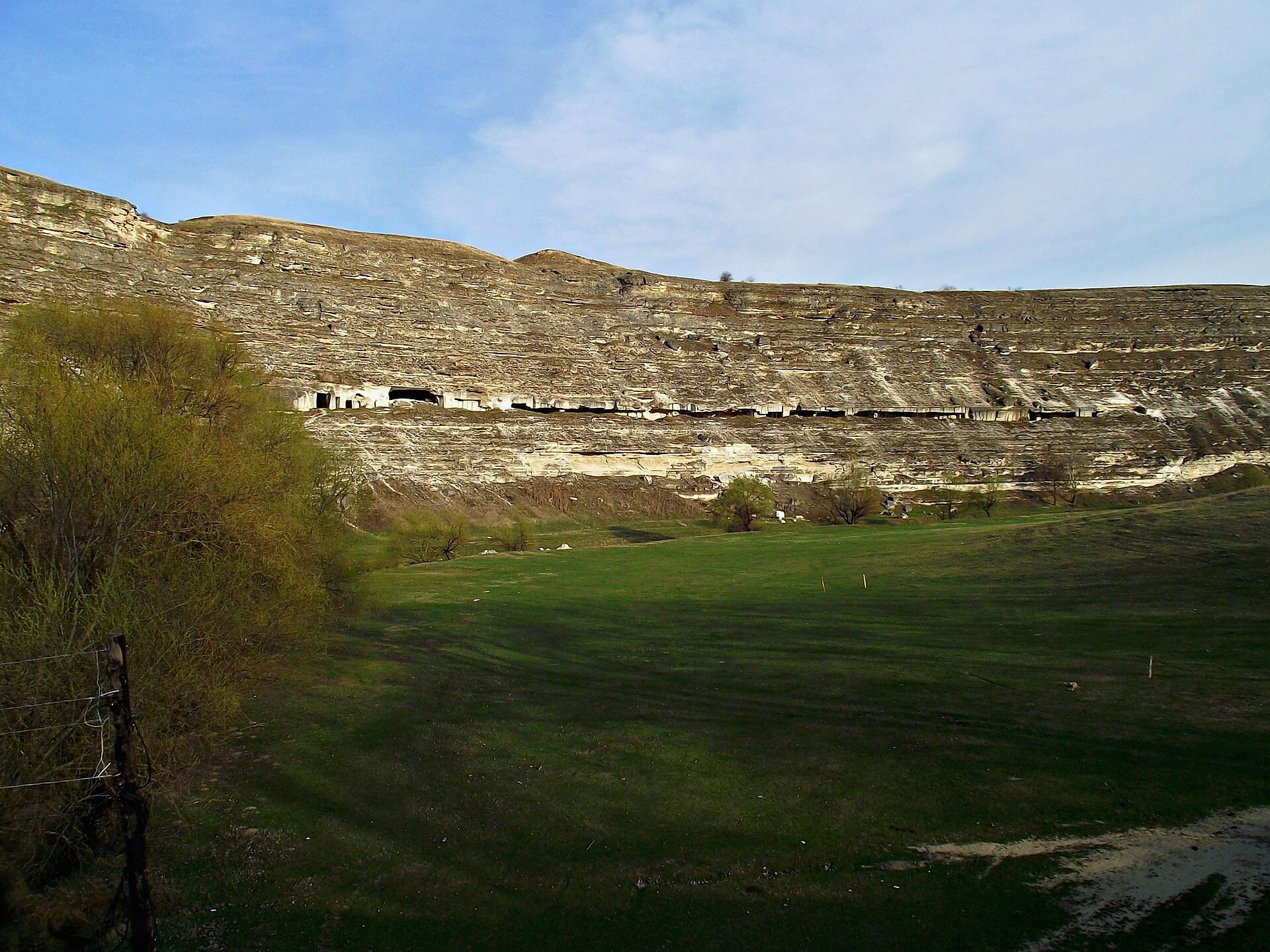 Trebujeni