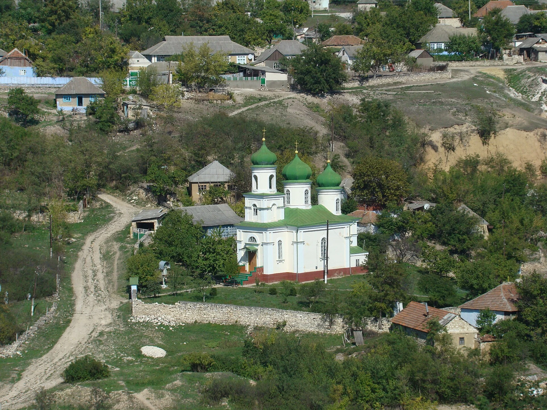 Trebujeni