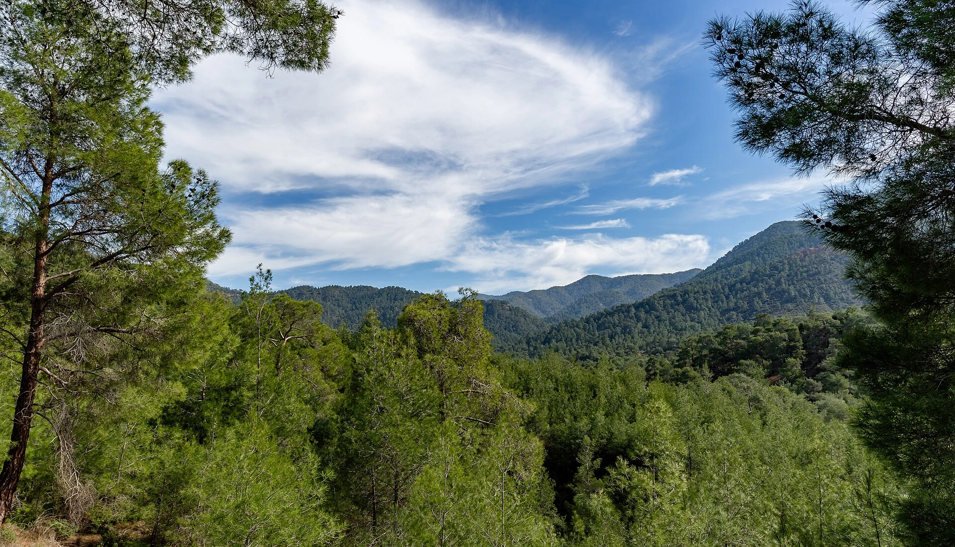 Troodos