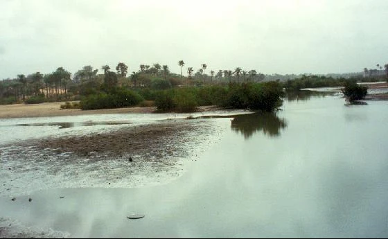 Gambia River