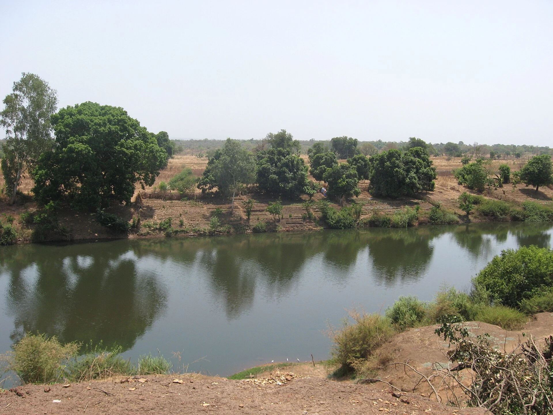 Gambia River