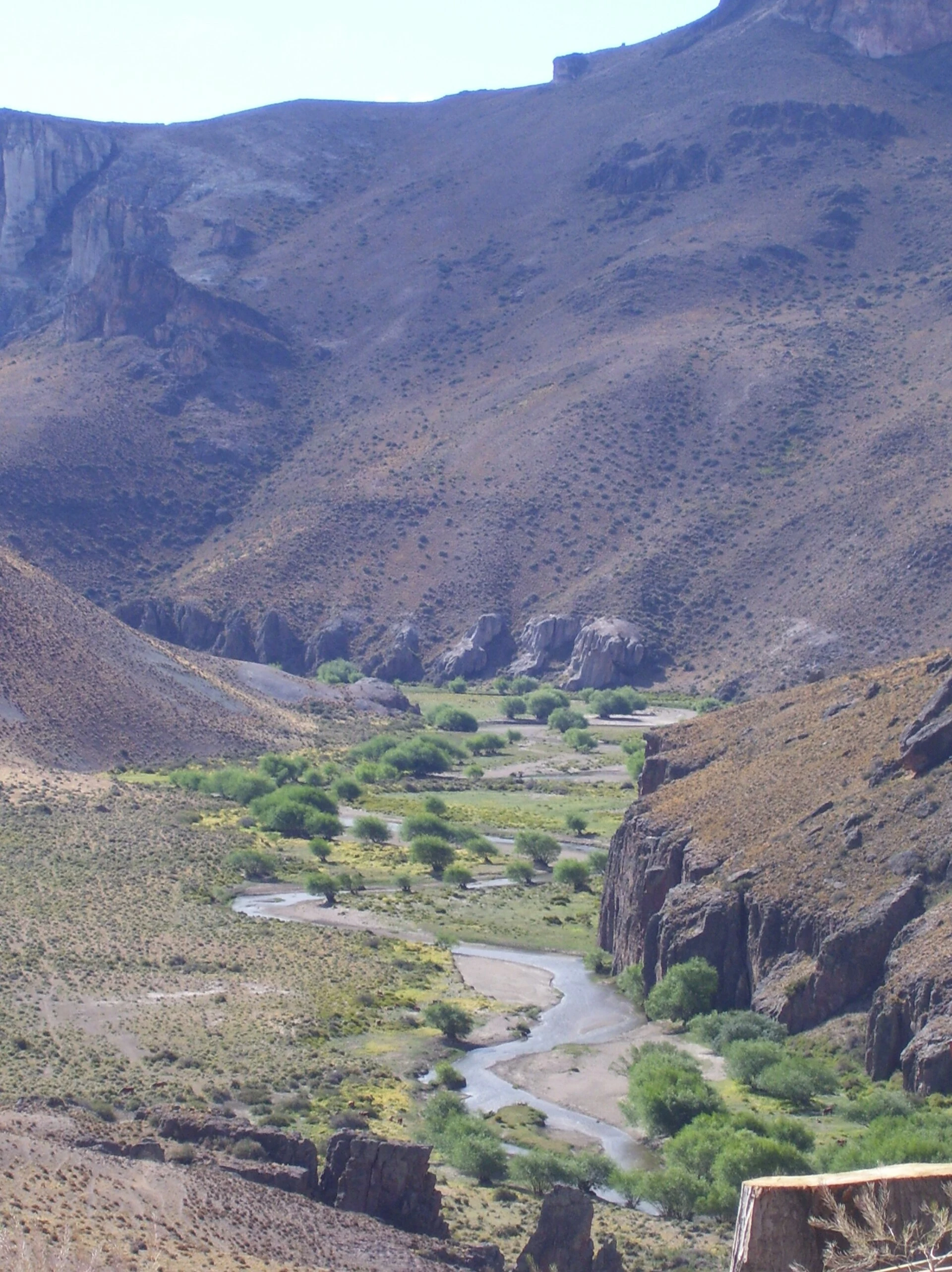 Pinturas River