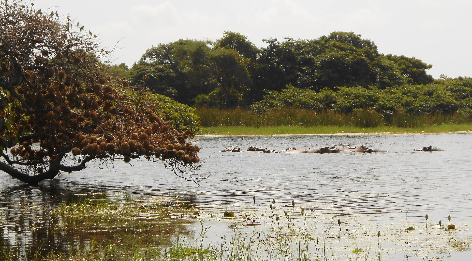 Orango Islands National Park