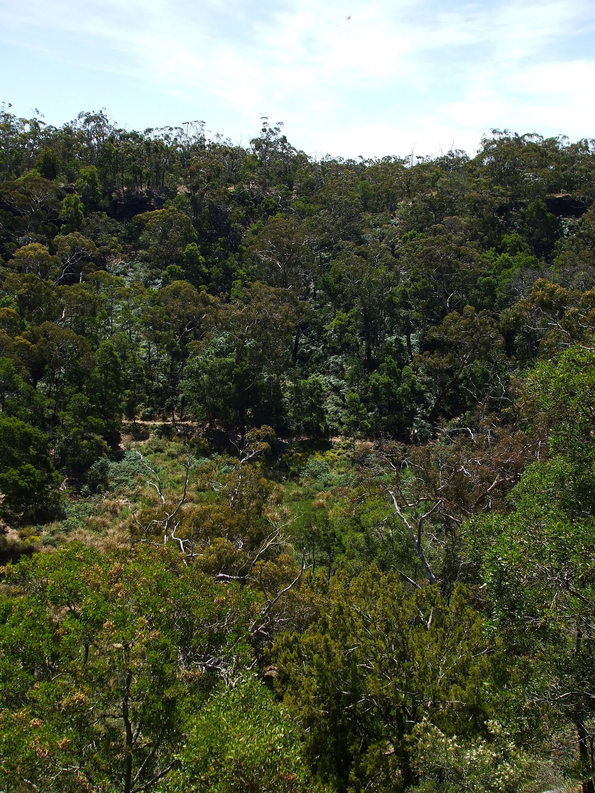 Budj Bim National Park