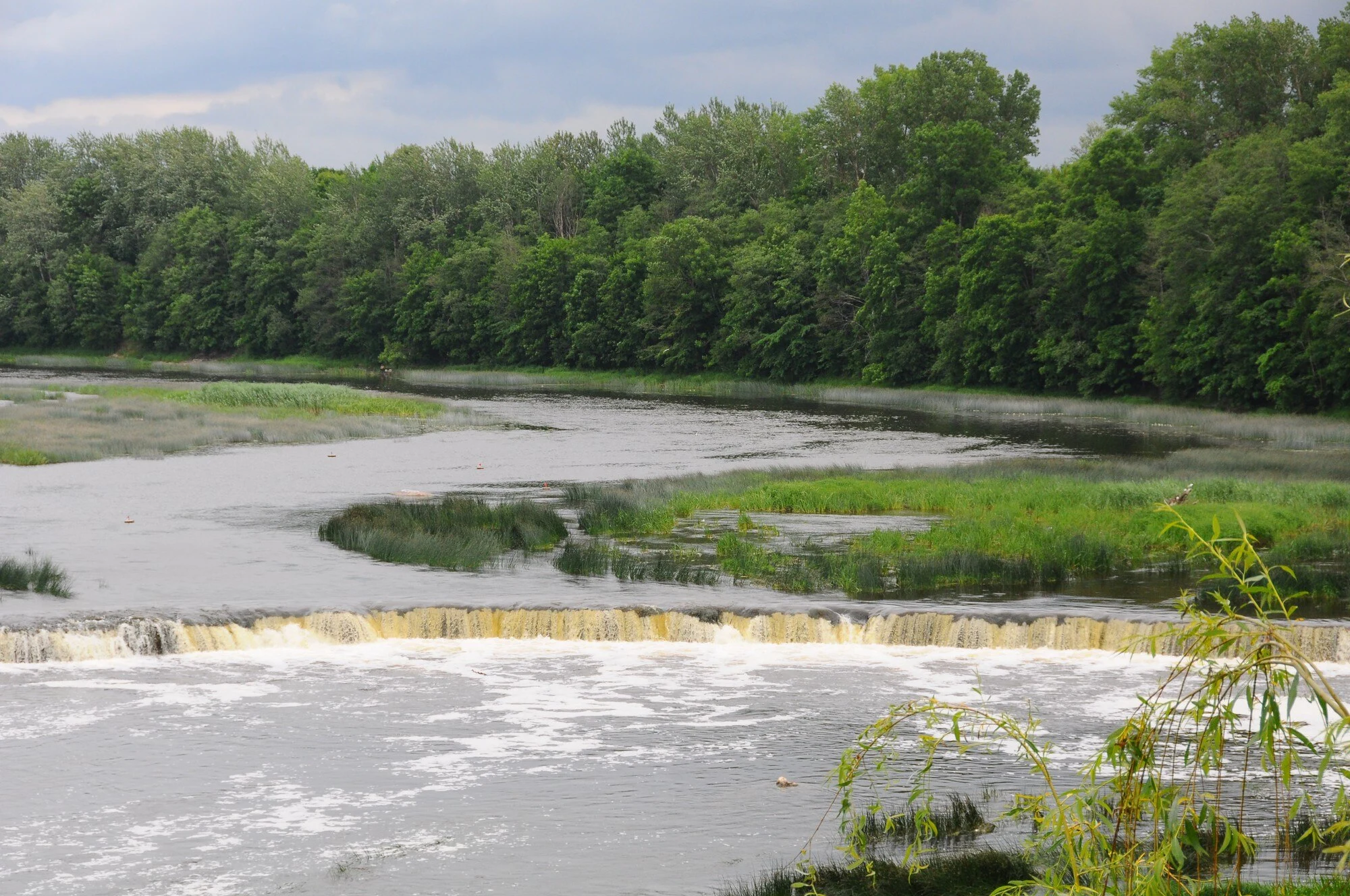Venta River