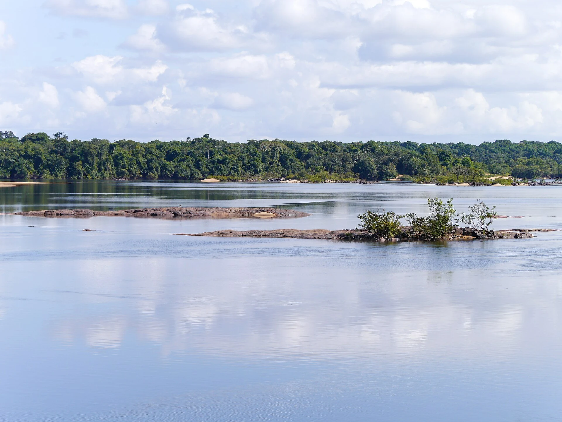Iwokrama Forest