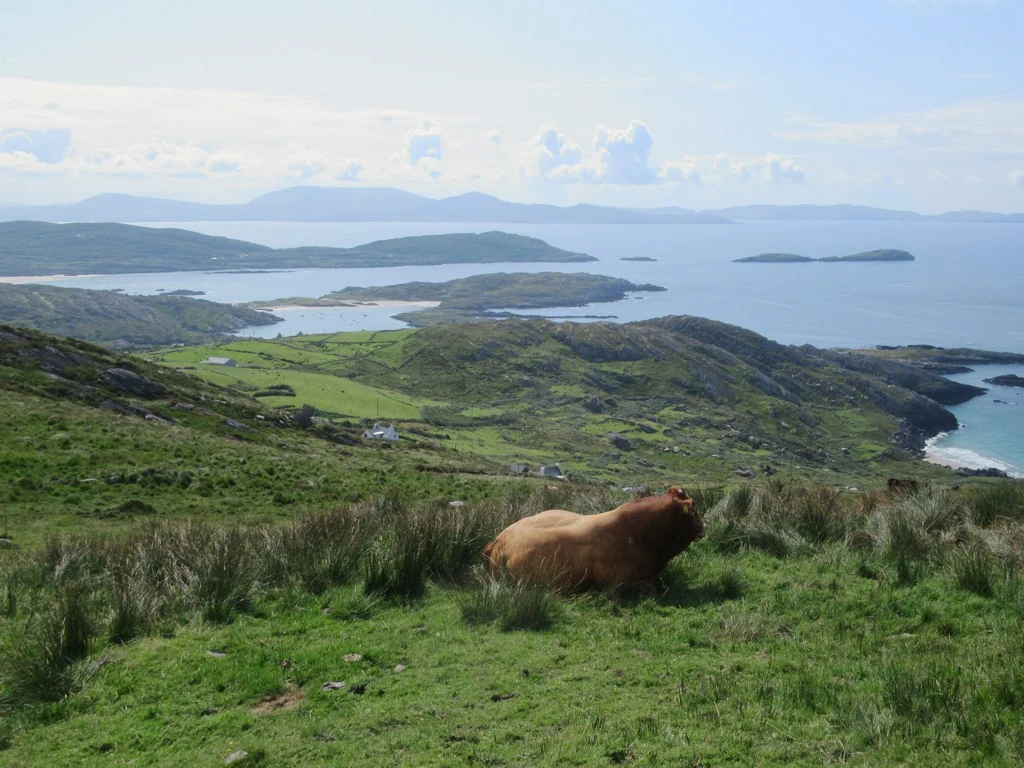 Iveragh Peninsula