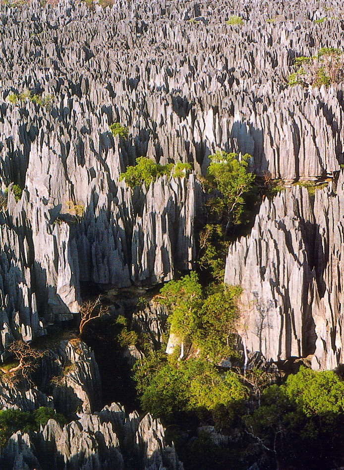 Tsingy de Bemaraha National Park