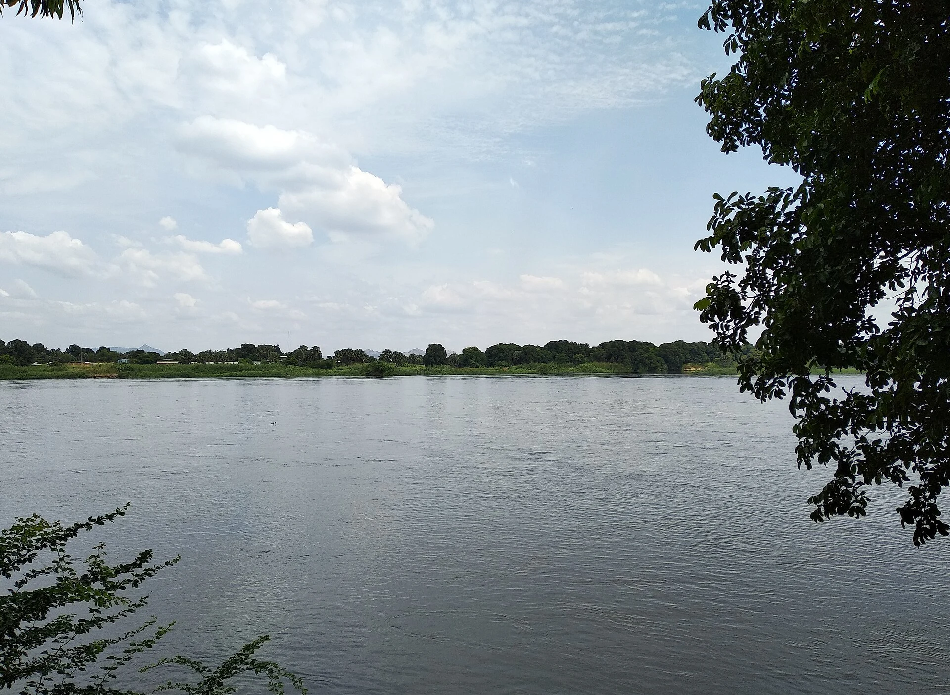 White Nile