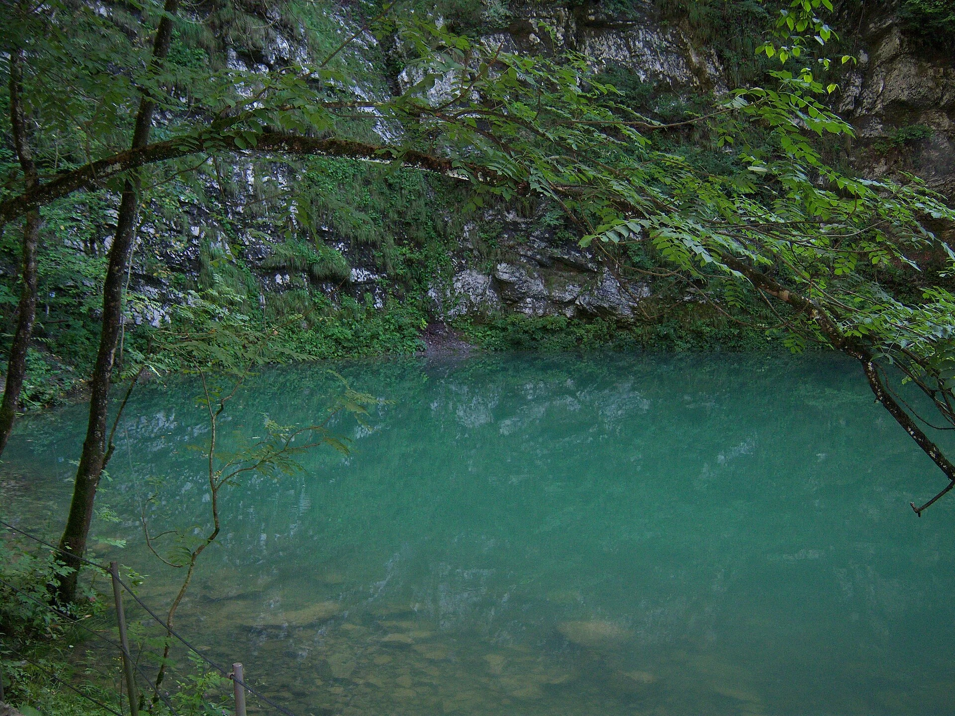 Wild Lake