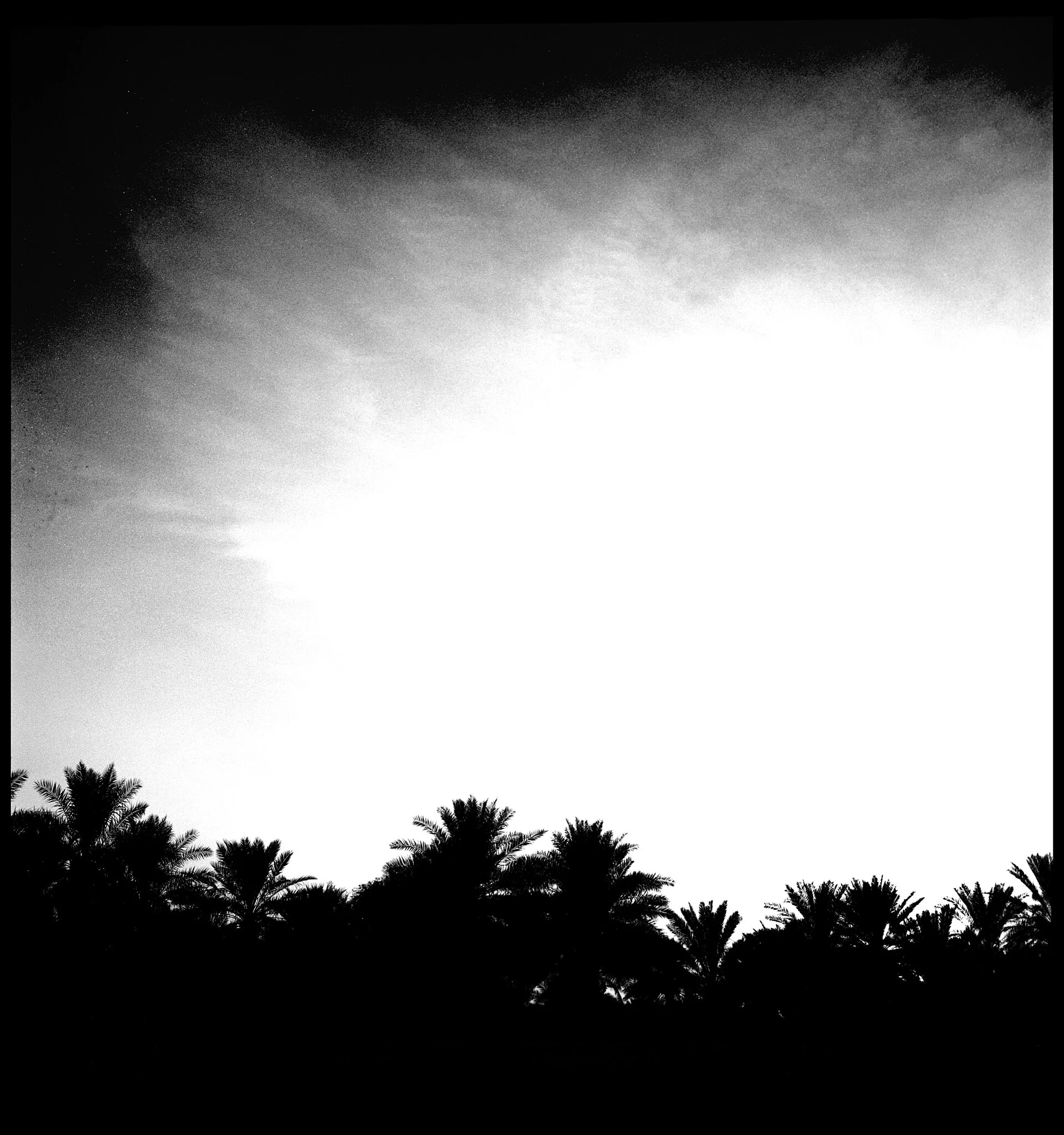 Al Ain Oasis