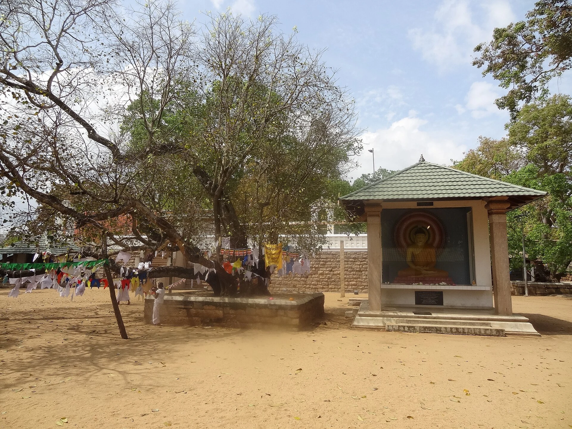 Sri Maha Bodhi
