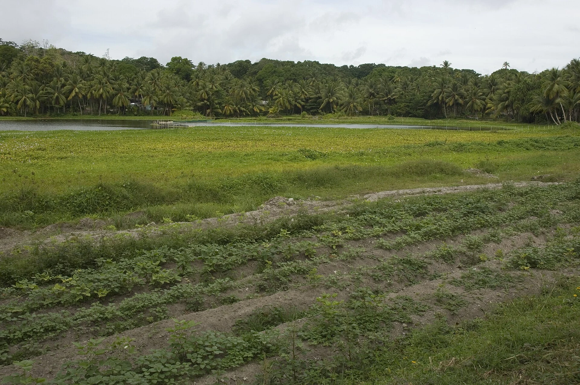 Buada Lagoon