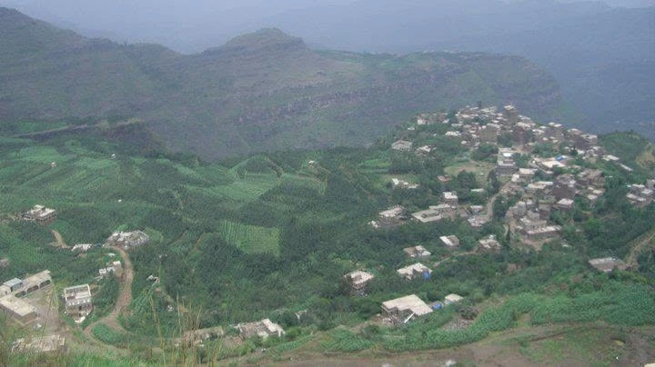 Sana'a