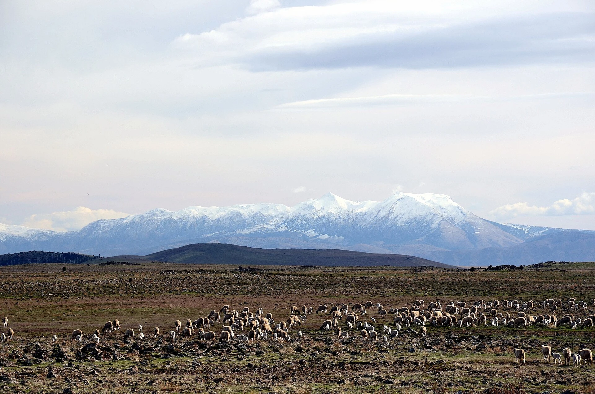 Middle Atlas
