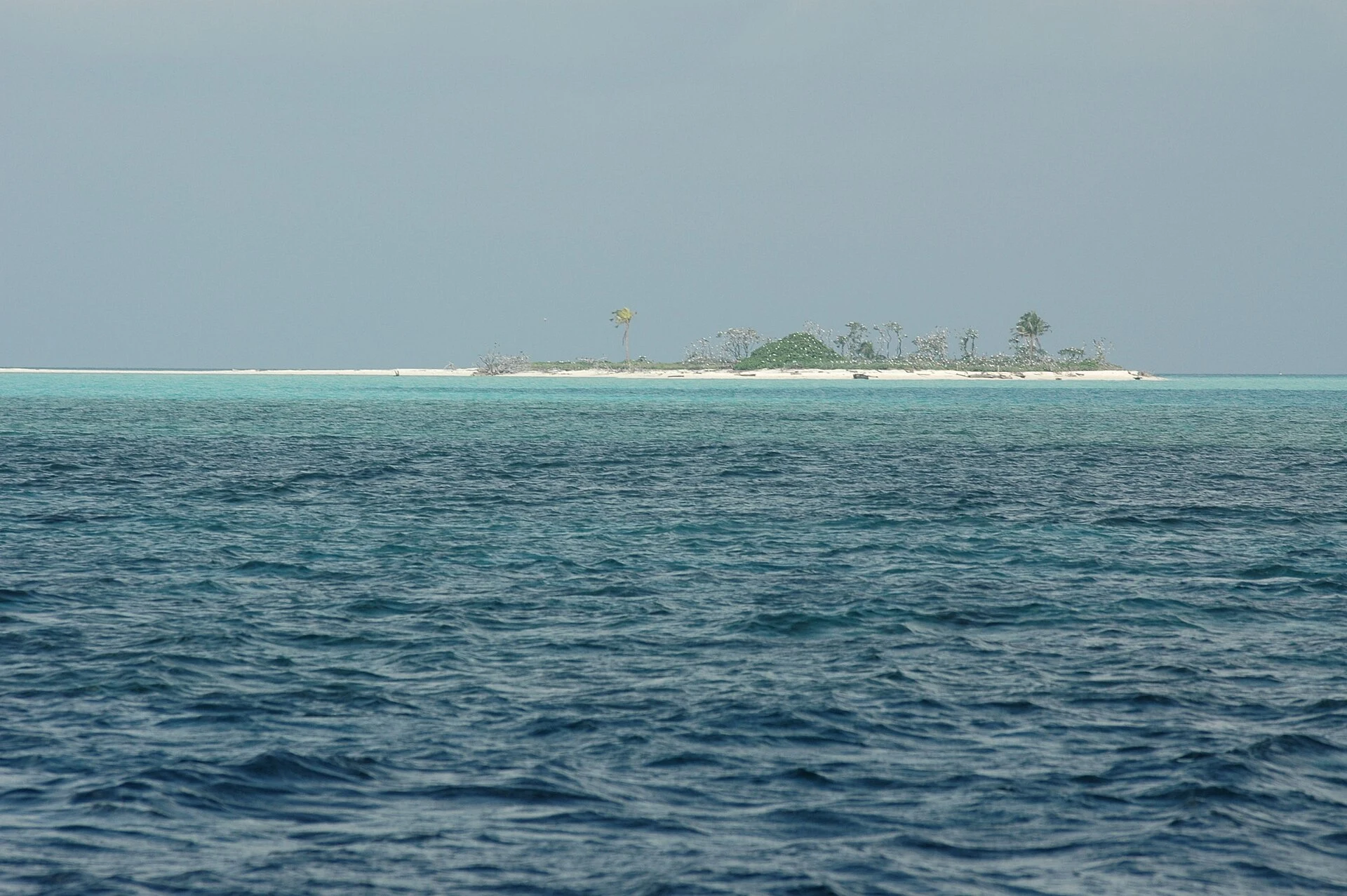 Tubbataha Reefs Natural Park