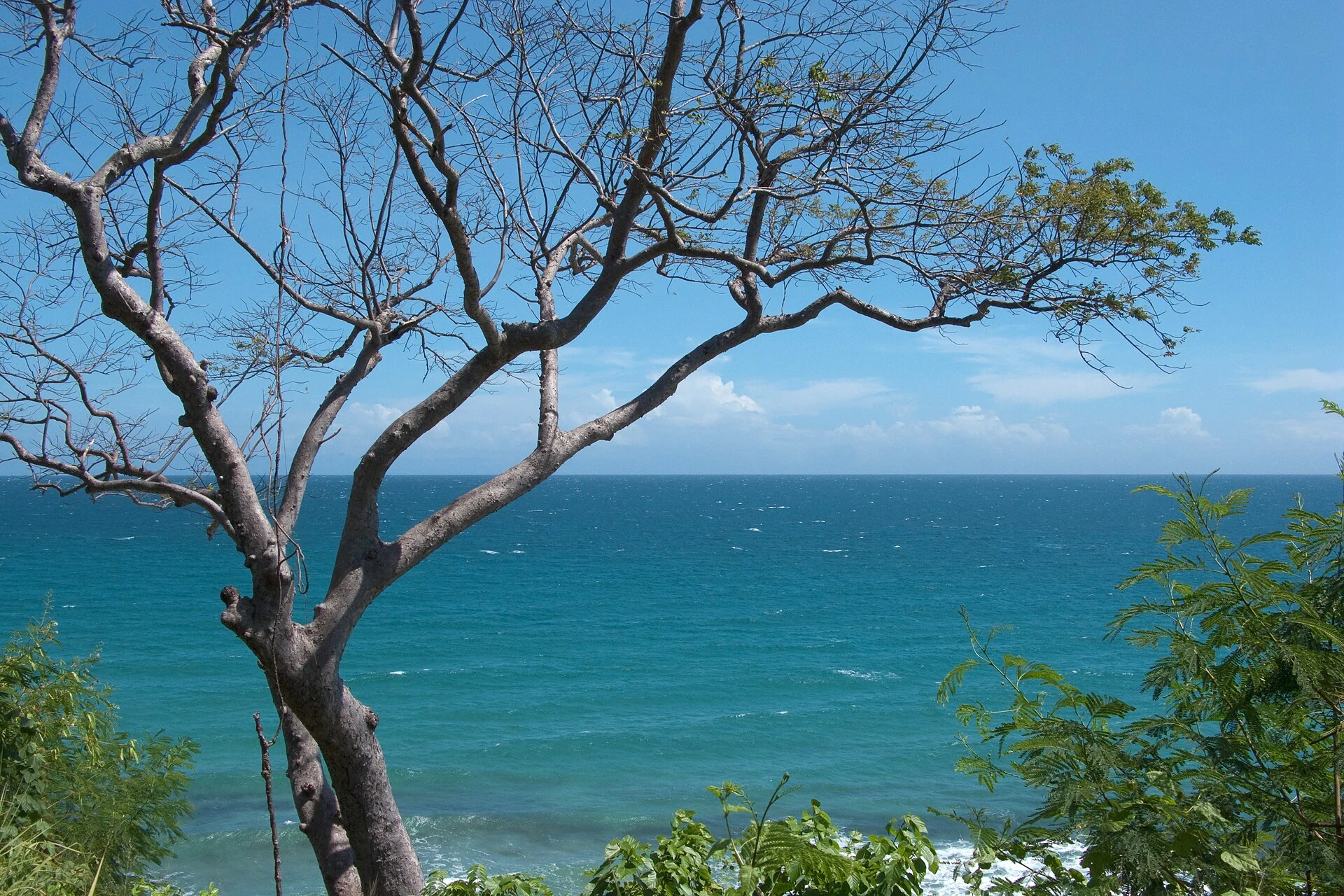 Sulu Sea