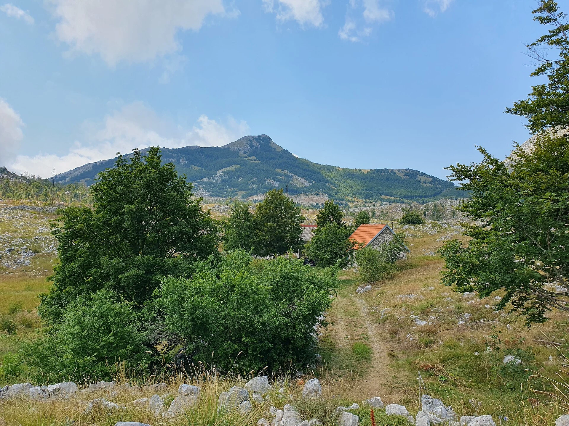 Lovćen National Park