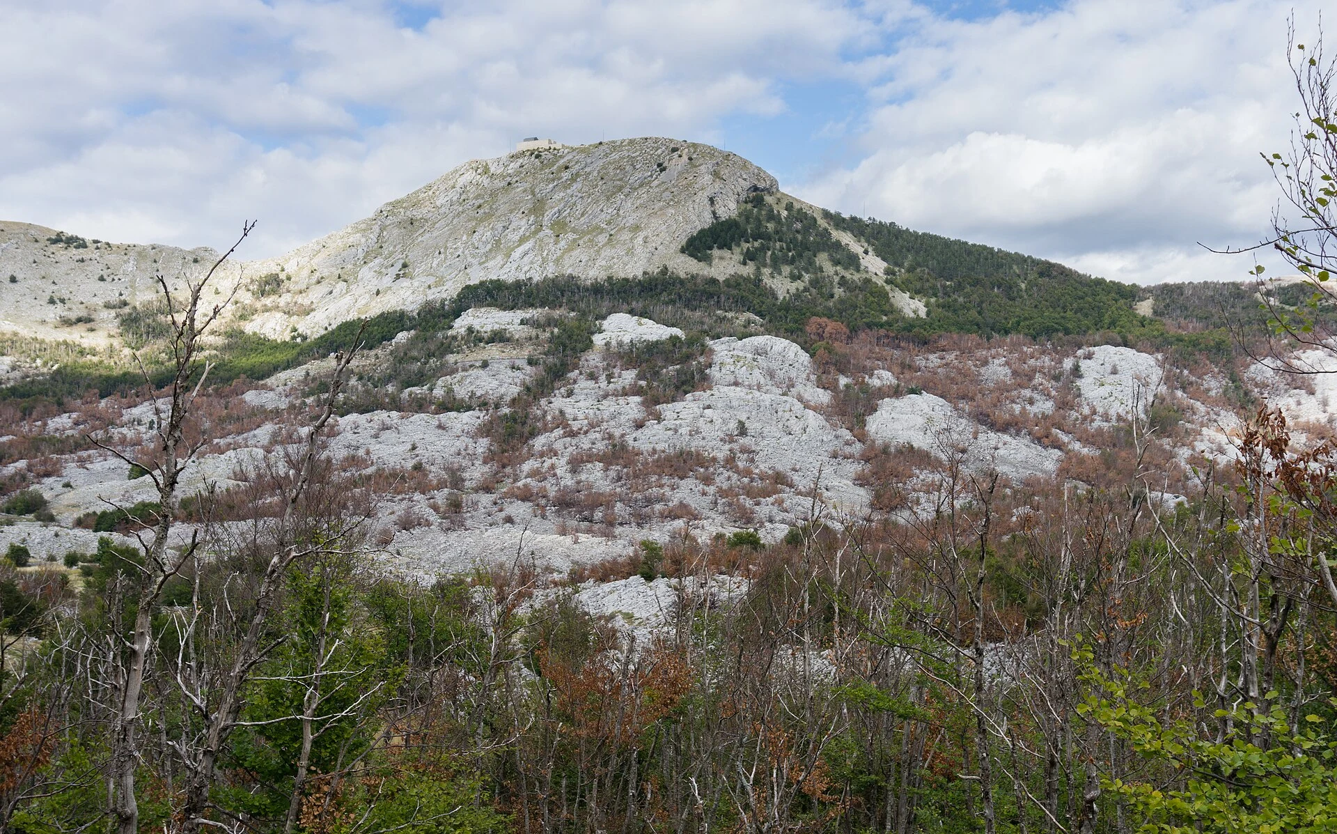 Jezerski vrh