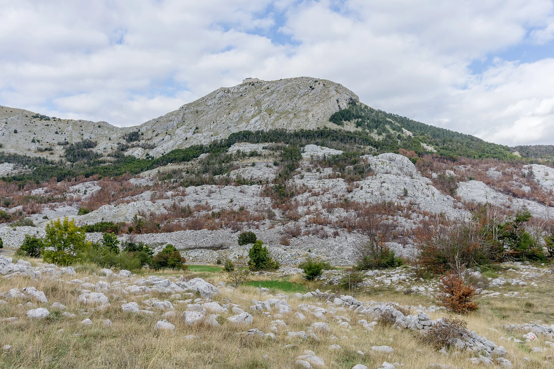 Jezerski vrh
