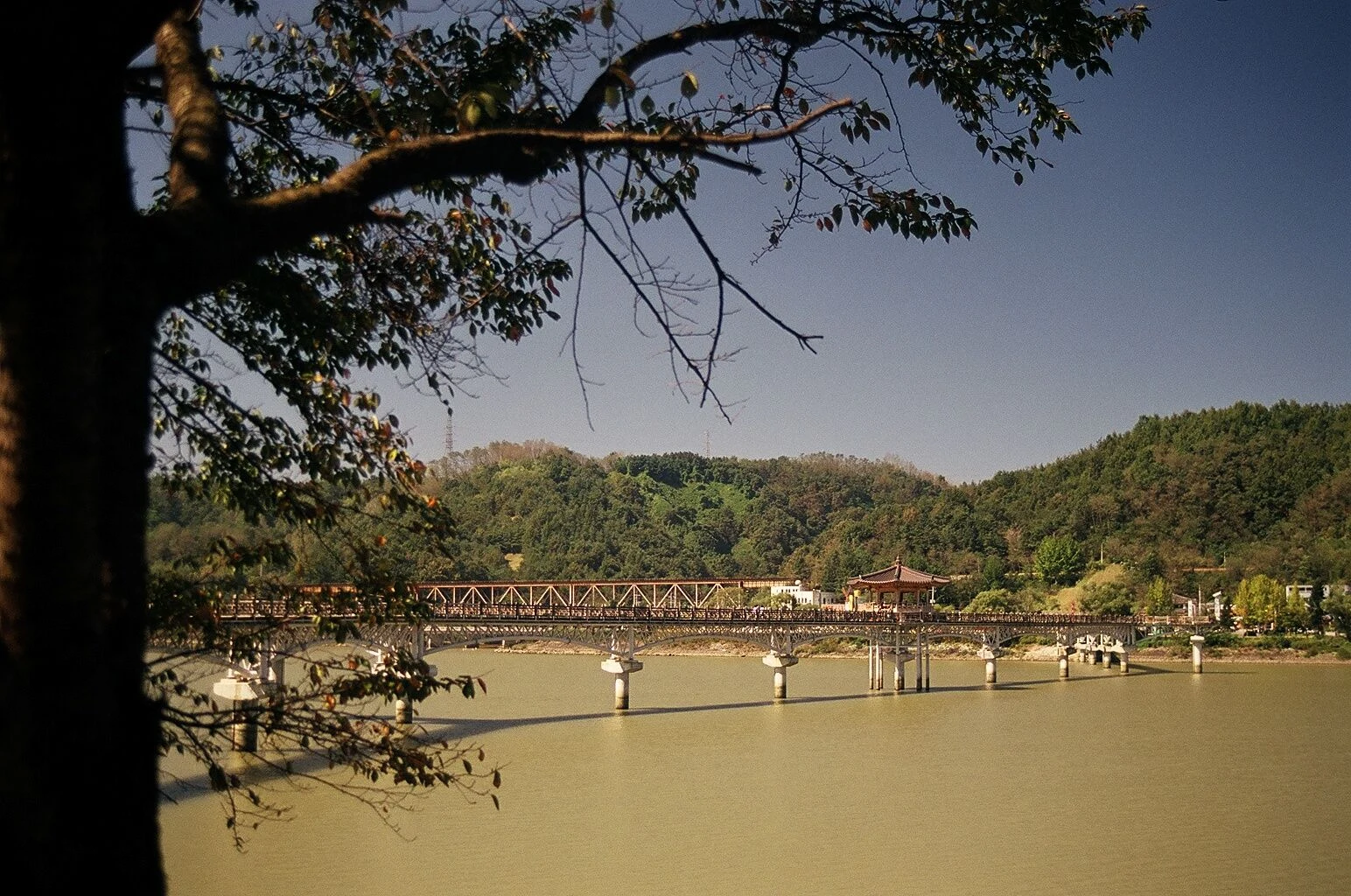 Nakdong River