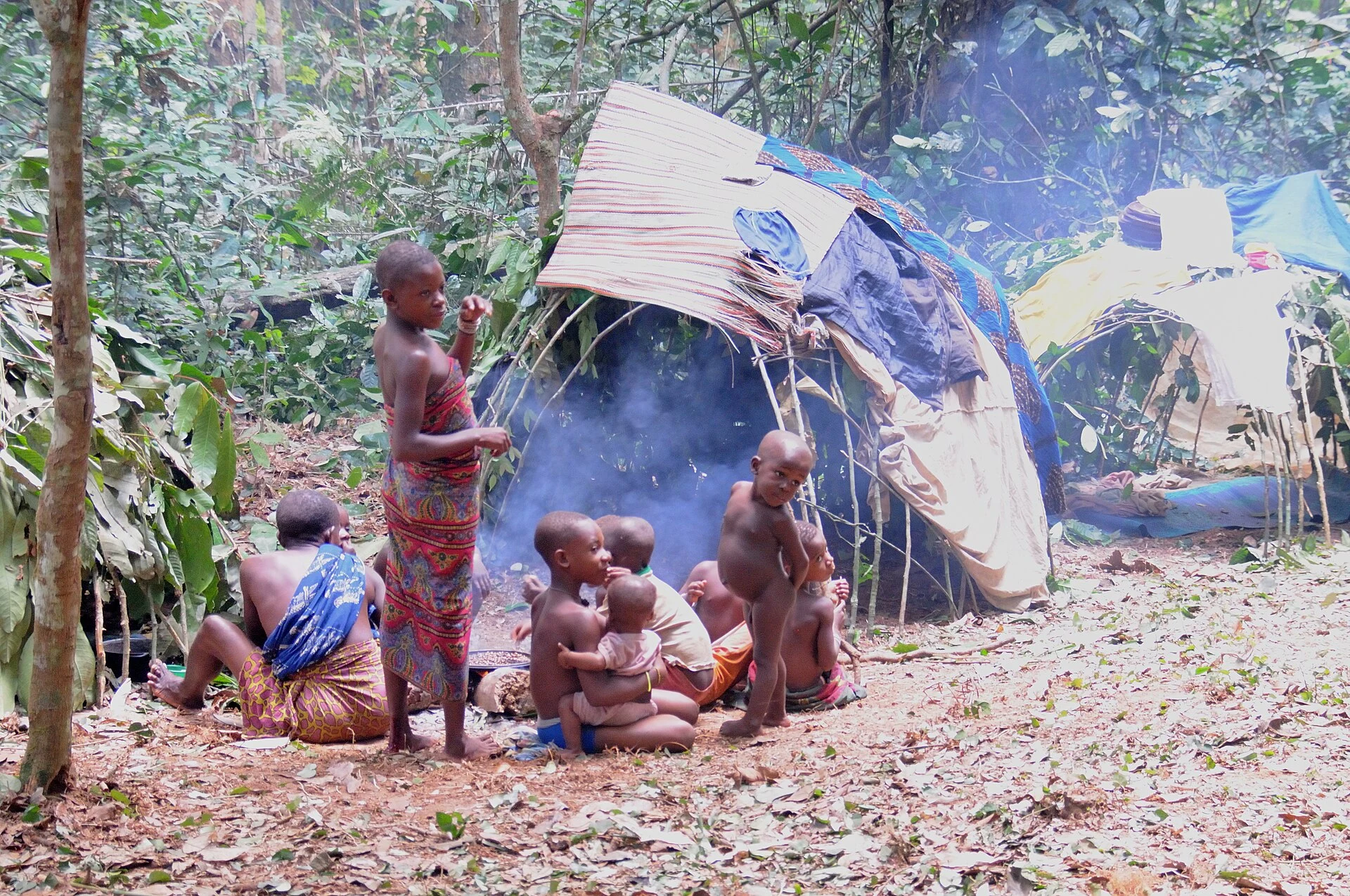 Dzanga-Ndoki National Park