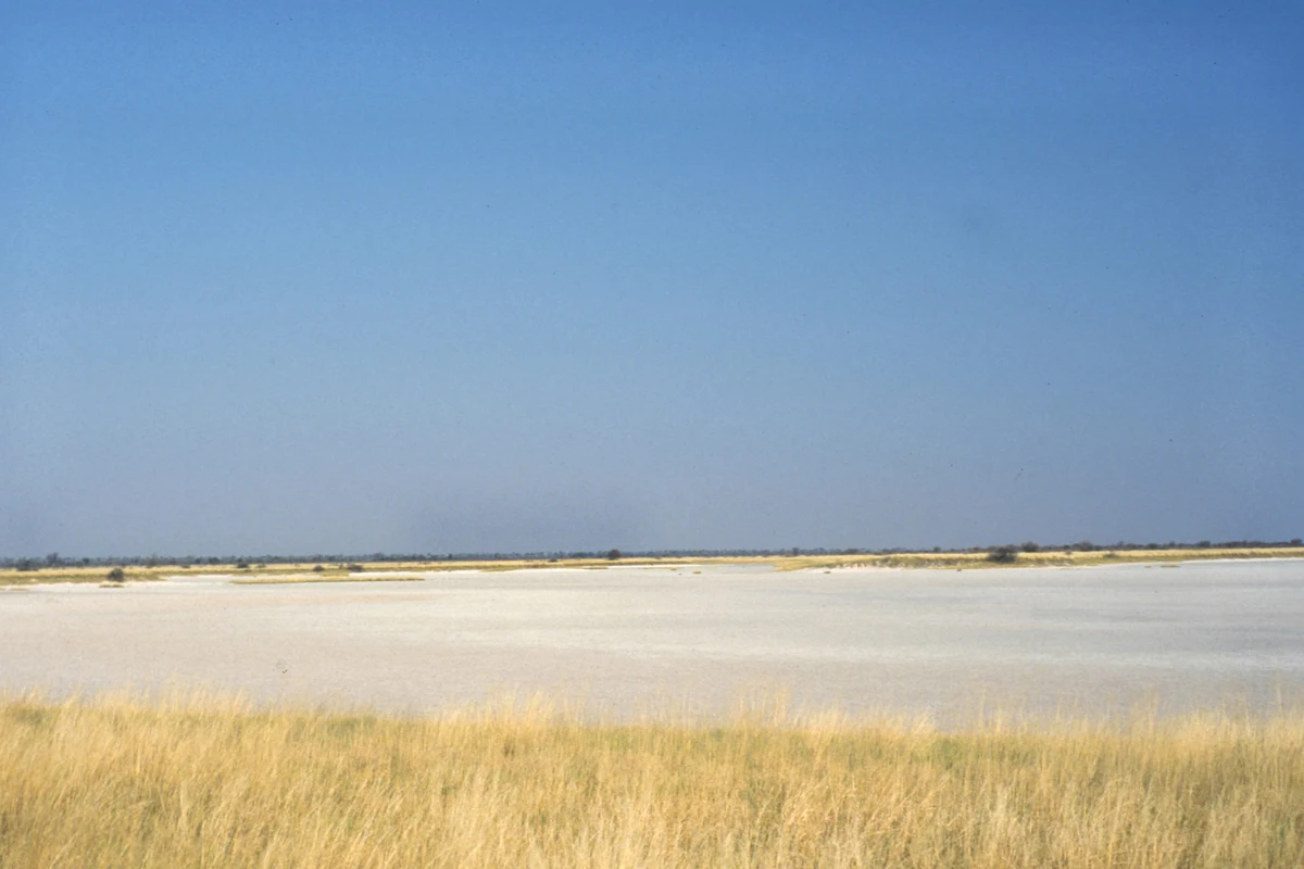 Nxai Pan National Park
