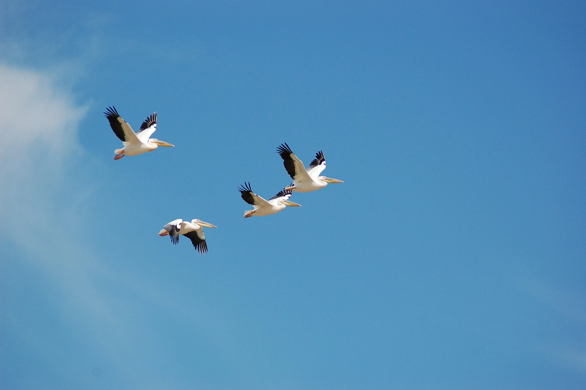 Nata Bird Sanctuary