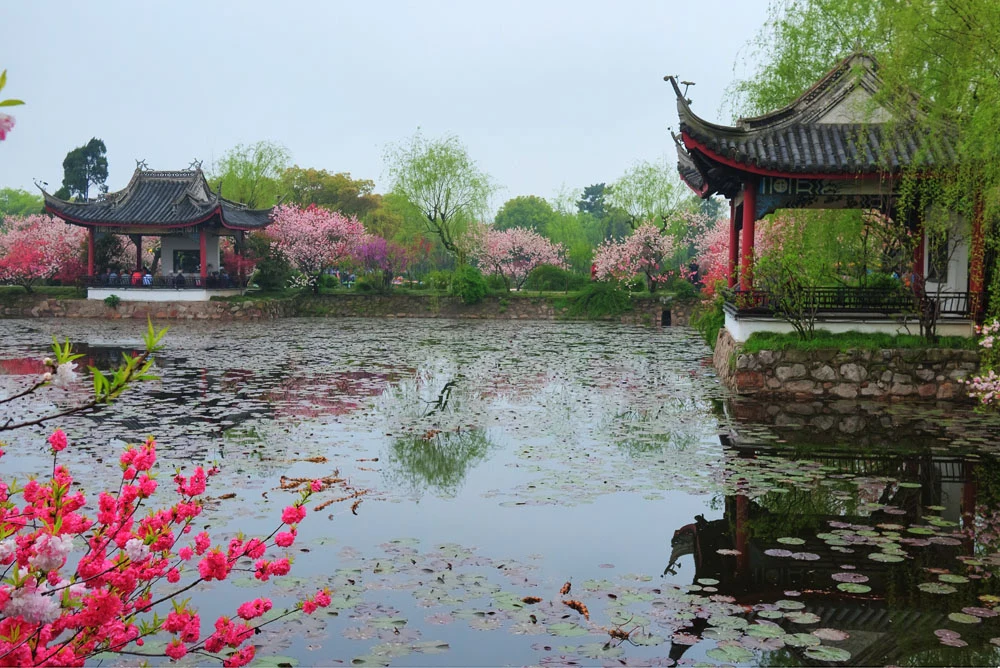 Liyuan Garden