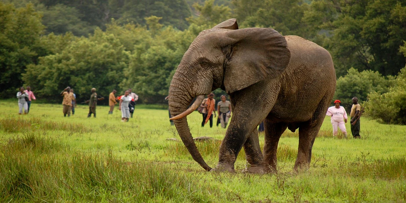 Kakum National Park