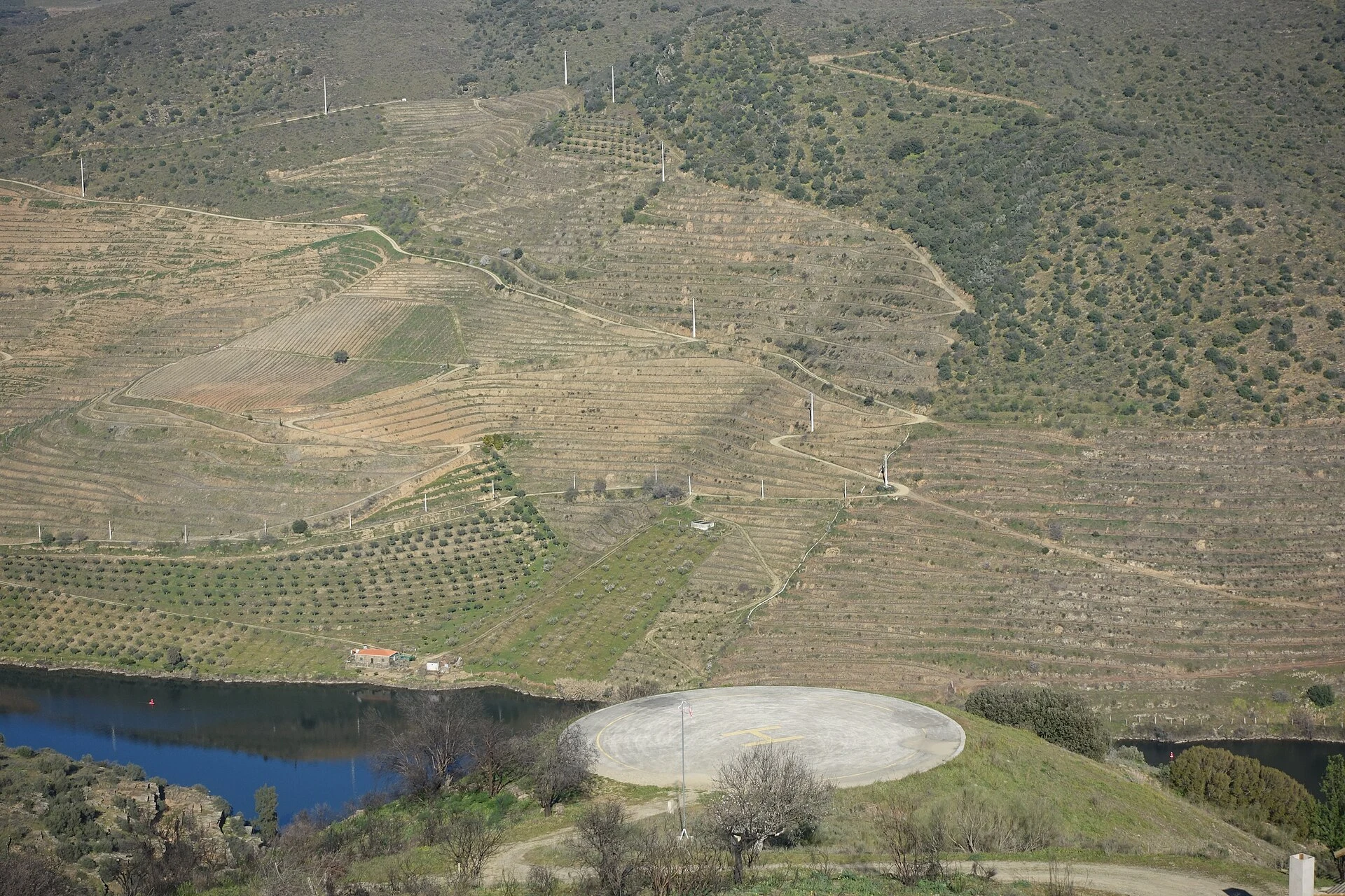 Côa Museum
