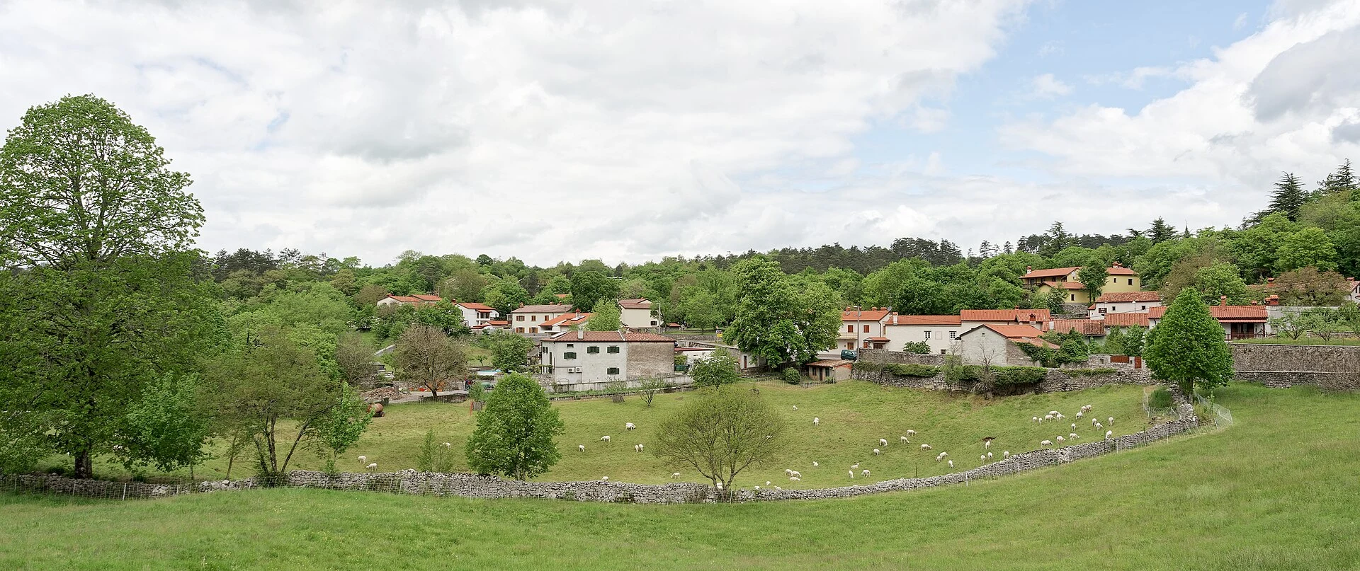 Matavun