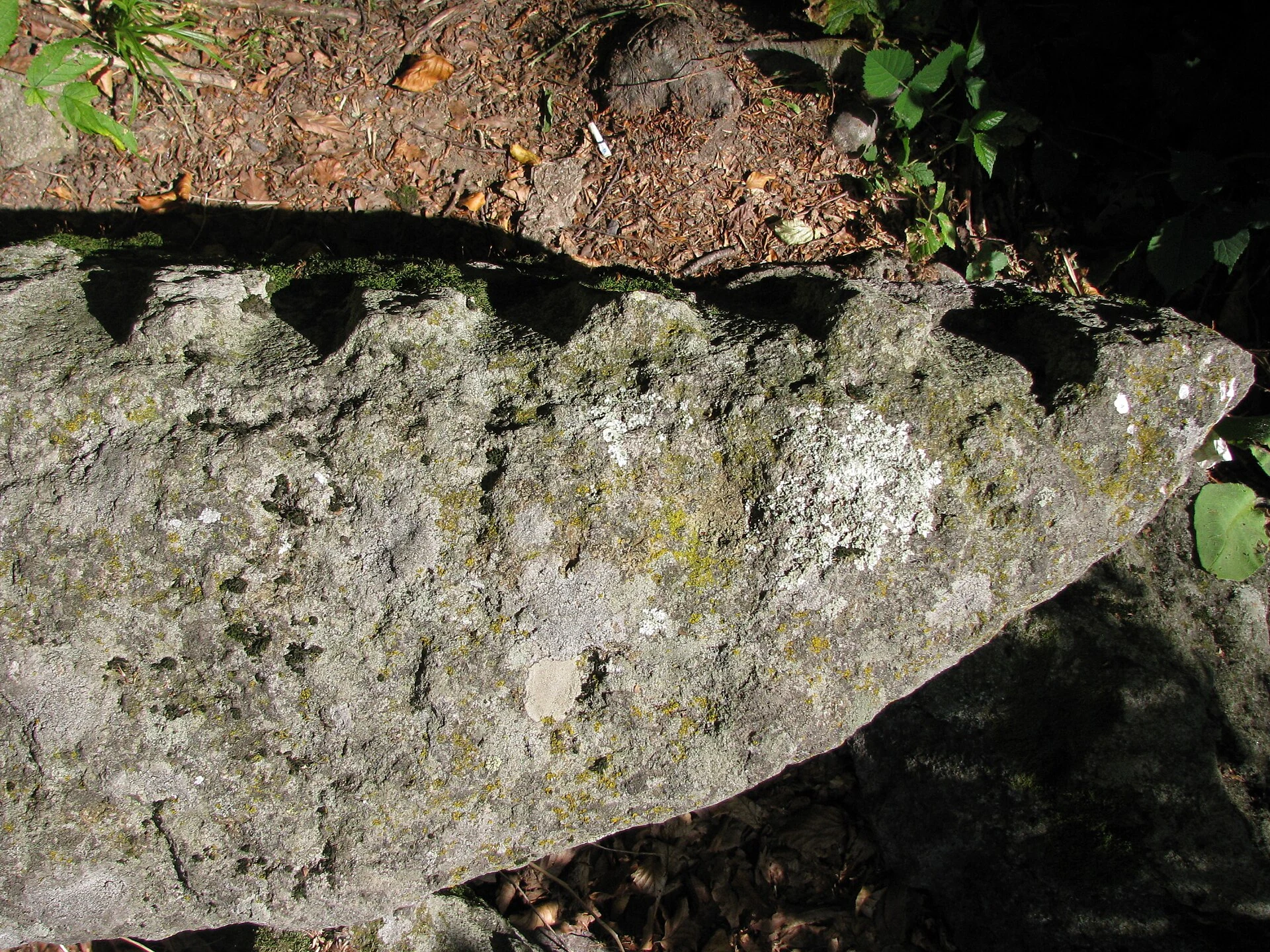 Sarmizegetusa Regia