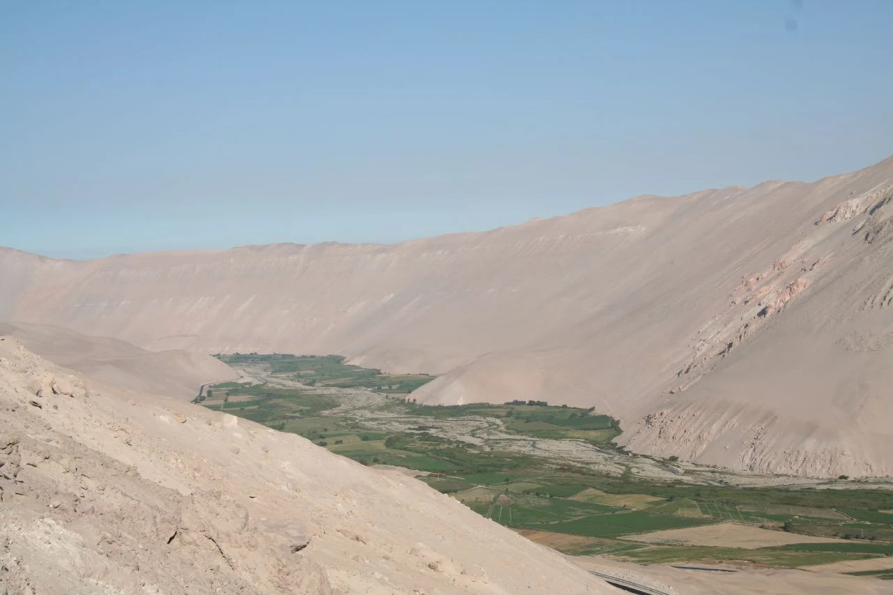 Azapa Valley