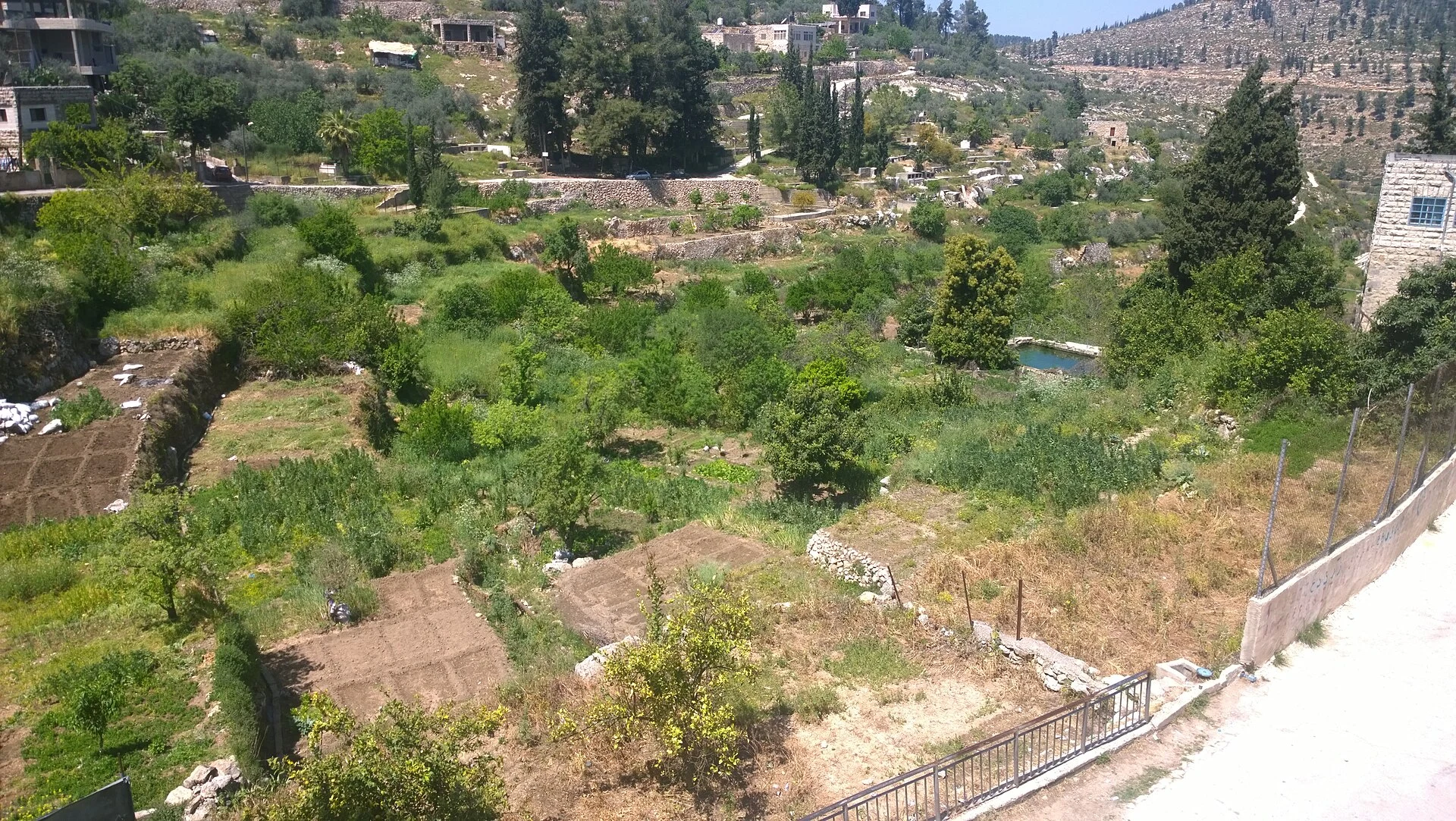 West Bank