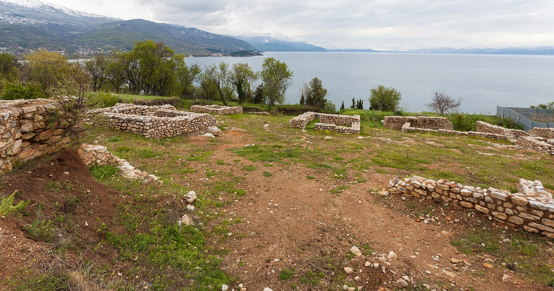 Plaošnik