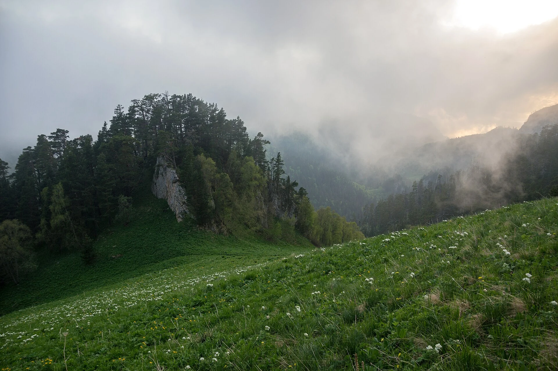 Caucasus